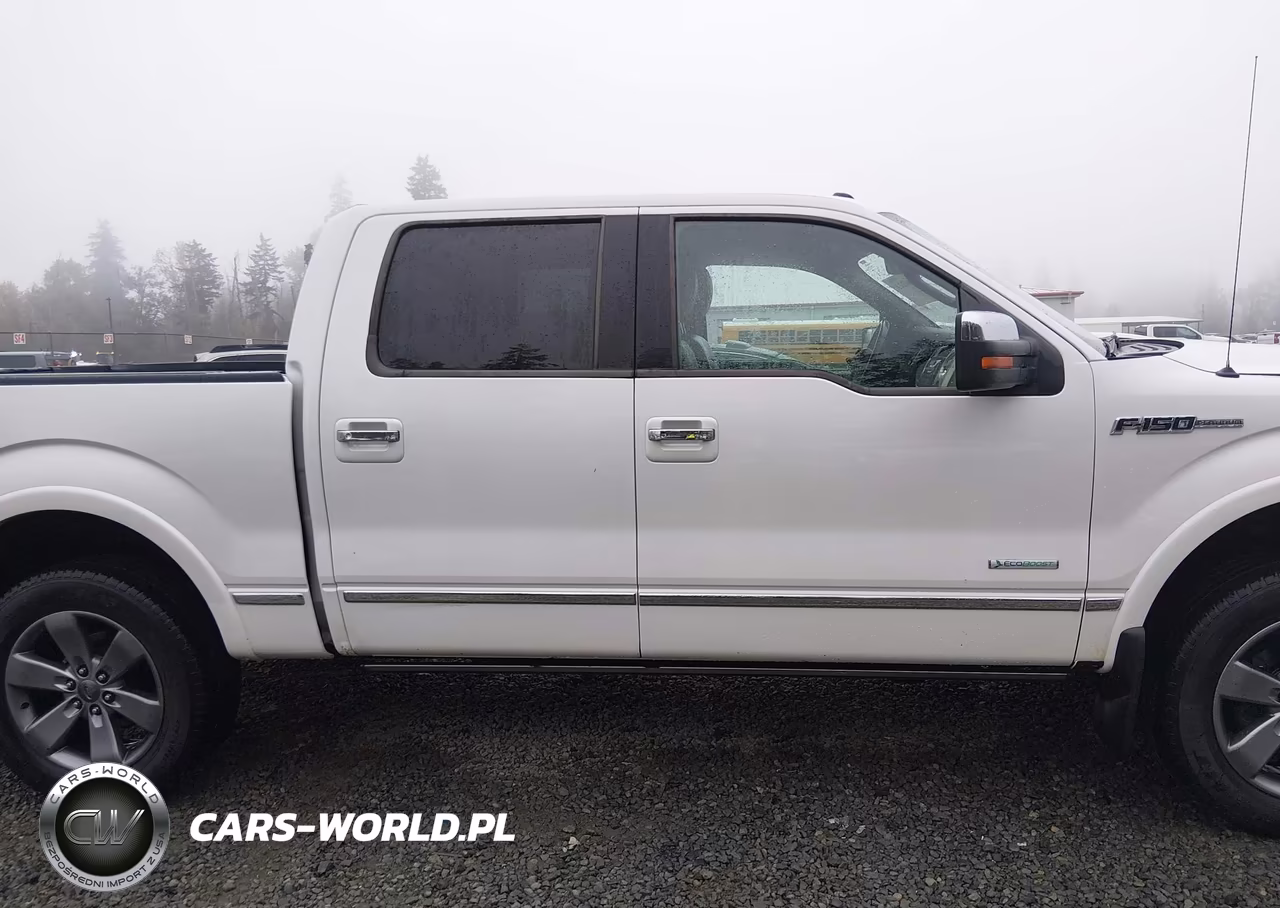2011 Ford F-150 Platinum VIN:1FTFW1ET1BFC24461 - 14