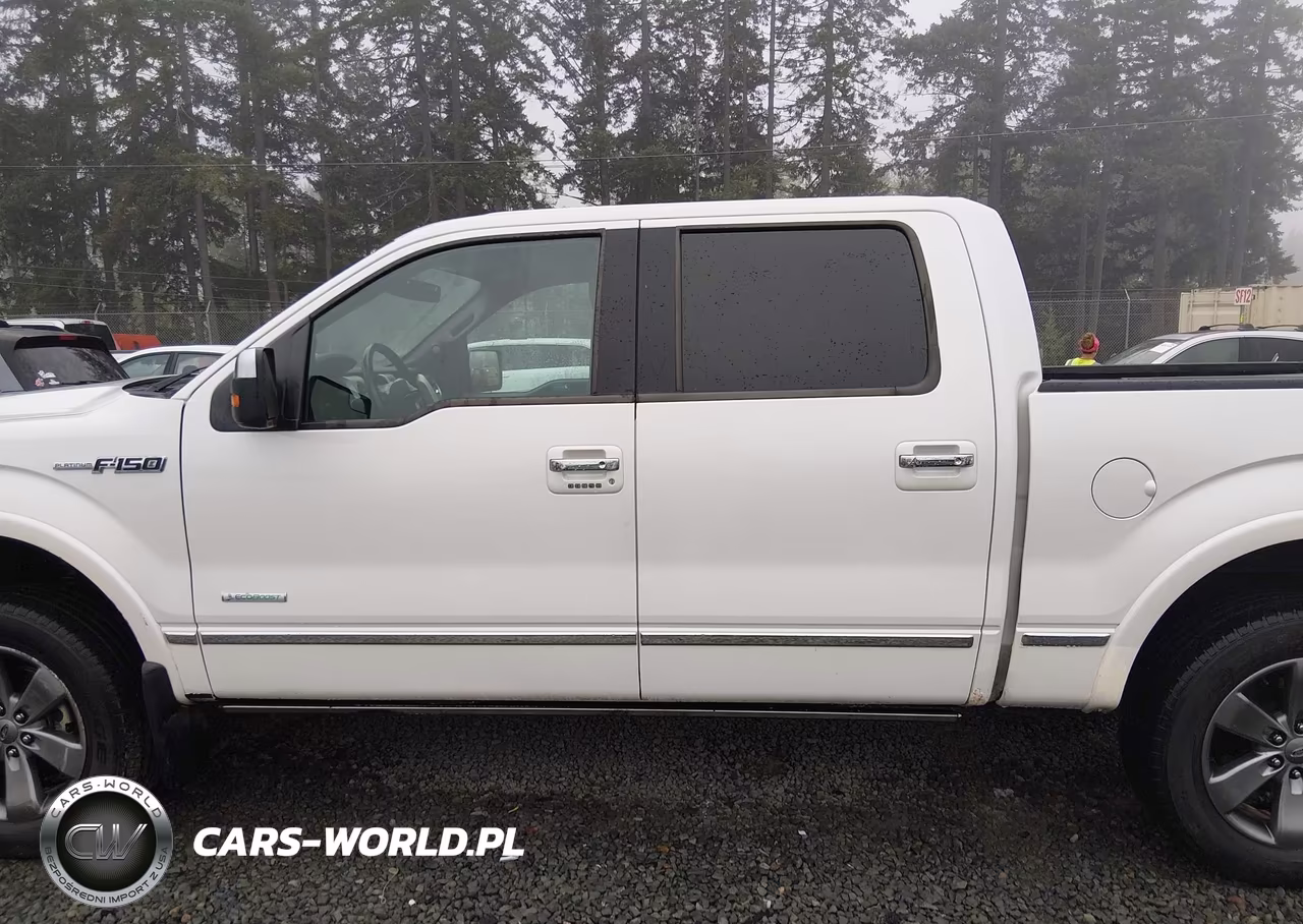 2011 Ford F-150 Platinum VIN:1FTFW1ET1BFC24461 - 15