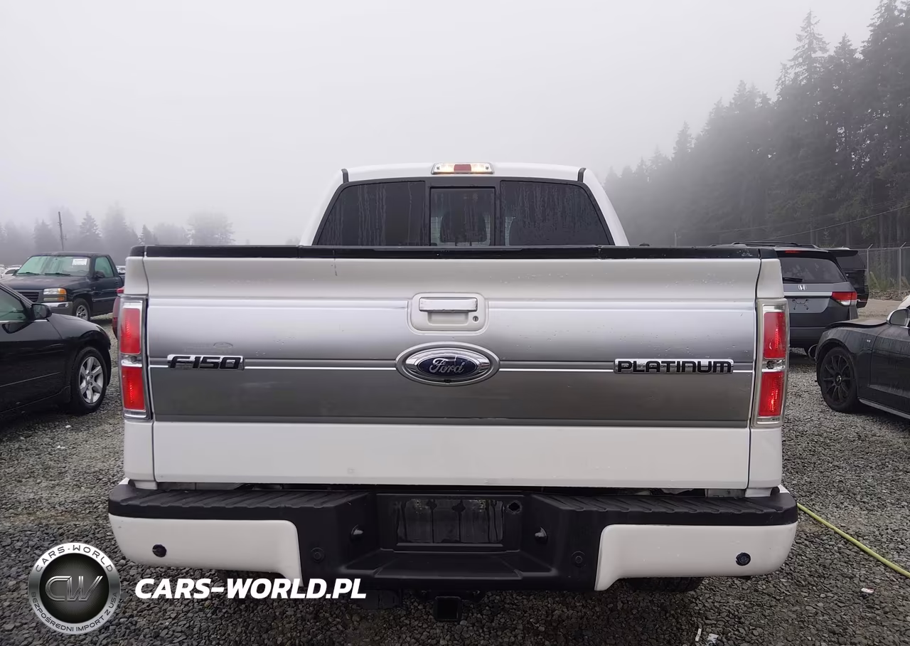 2011 Ford F-150 Platinum VIN:1FTFW1ET1BFC24461 - 17