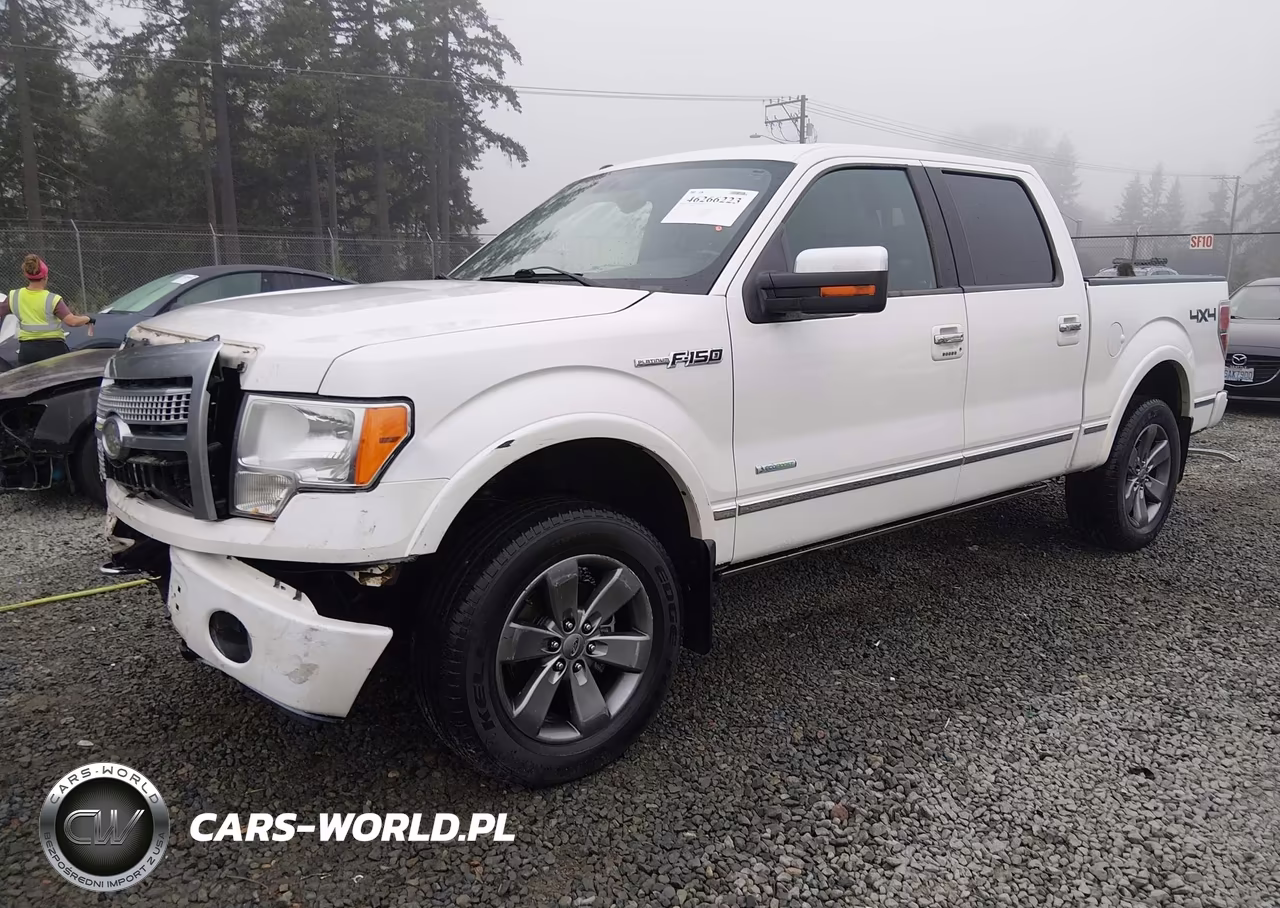 2011 Ford F-150 Platinum VIN:1FTFW1ET1BFC24461 - 2