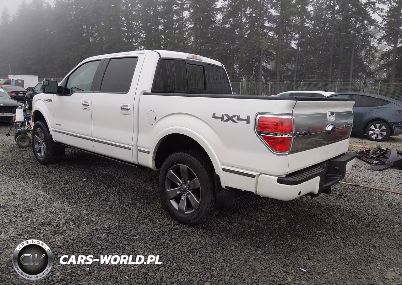 2011 Ford F-150 Platinum VIN:1FTFW1ET1BFC24461 - 3