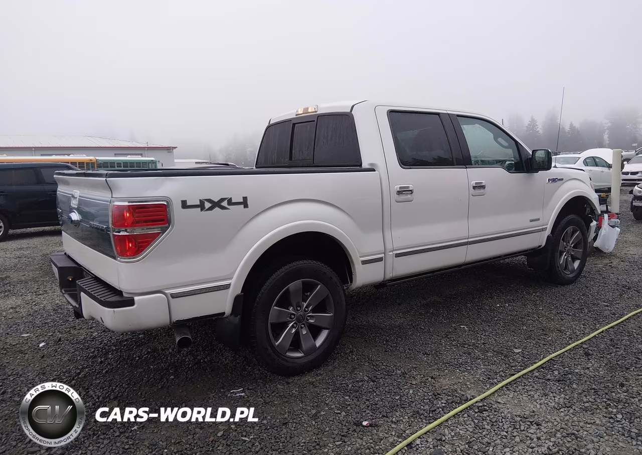 2011 Ford F-150 Platinum VIN:1FTFW1ET1BFC24461 - 4
