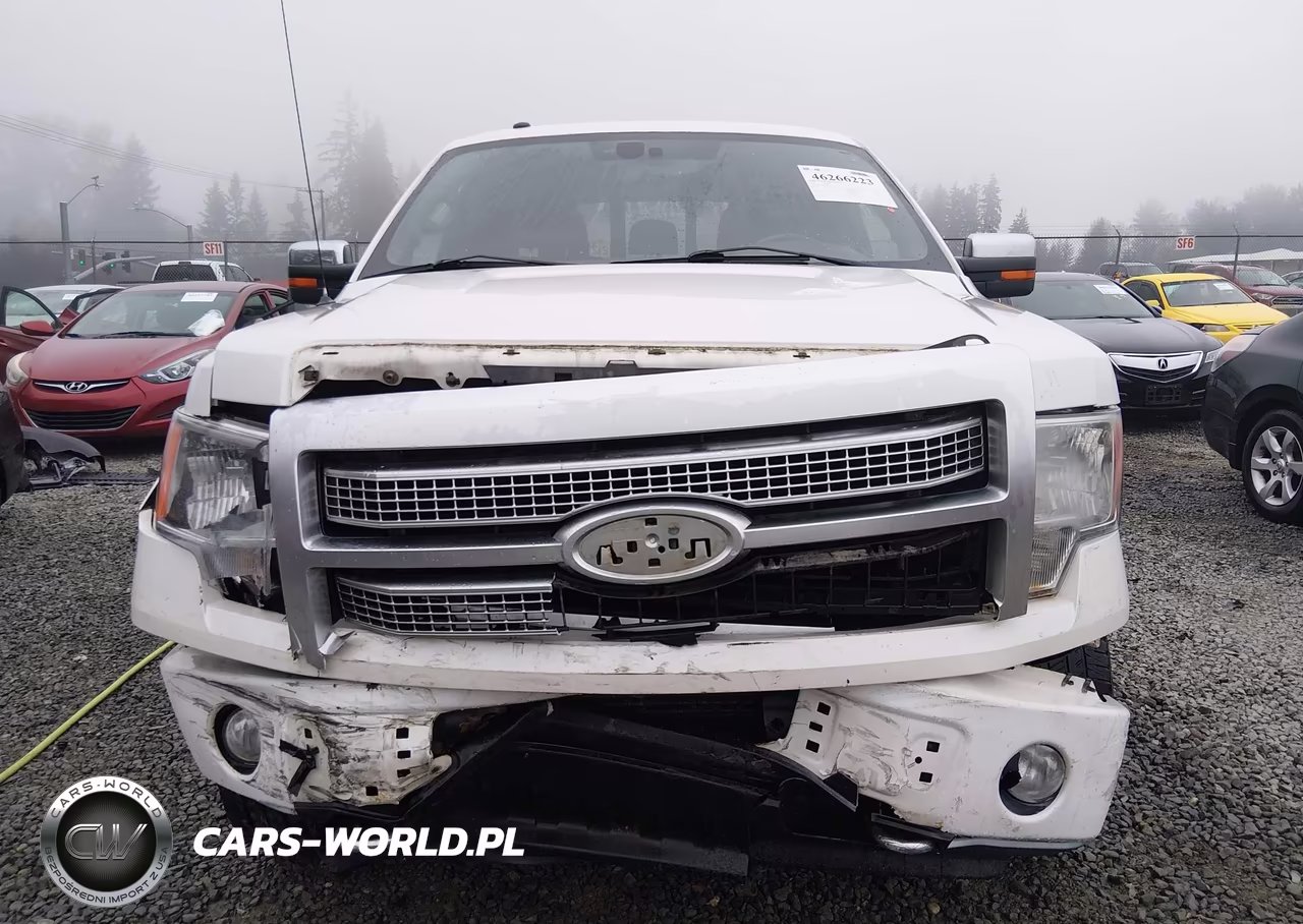 2011 Ford F-150 Platinum VIN:1FTFW1ET1BFC24461 - 6