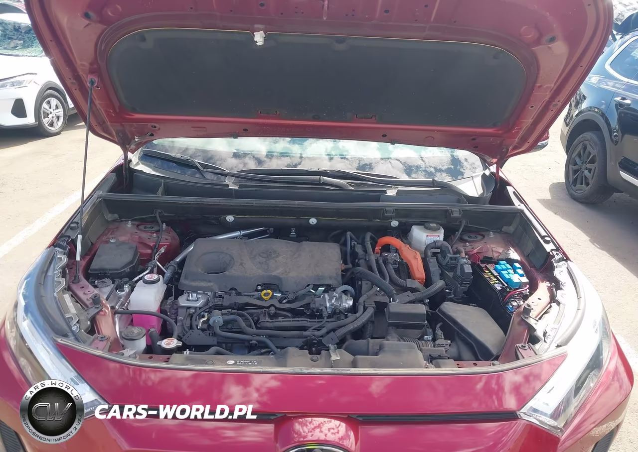 2025 Toyota Rav4 Hybrid Xle VIN:JTMRWRFV7SD303396 - 10