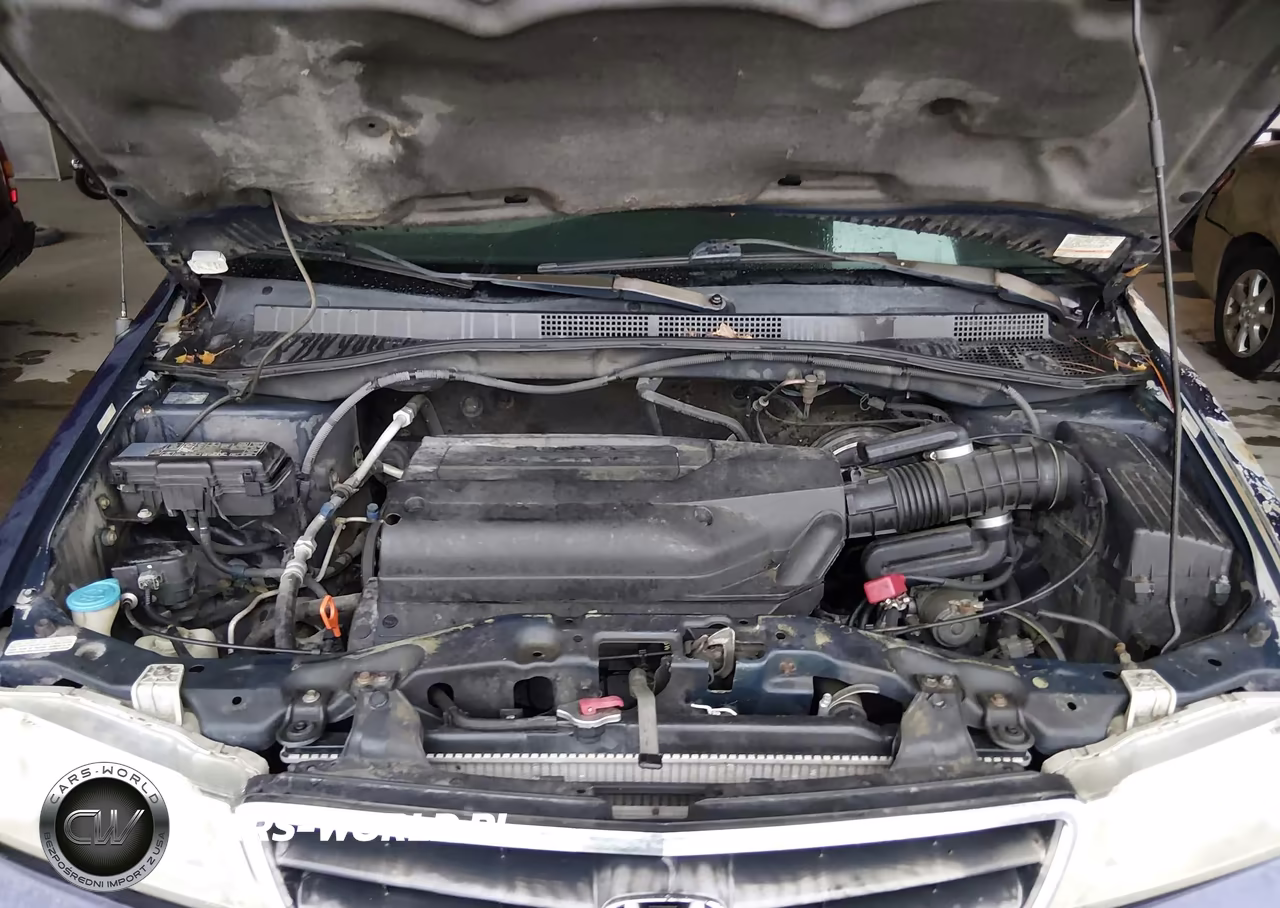 2004 Honda Odyssey Ex VIN:5FNRL18844B117215 - 10