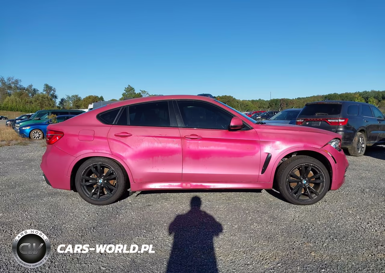 2017 BMW X6 xDrive35I VIN:5UXKU2C32H0X48208 - 13