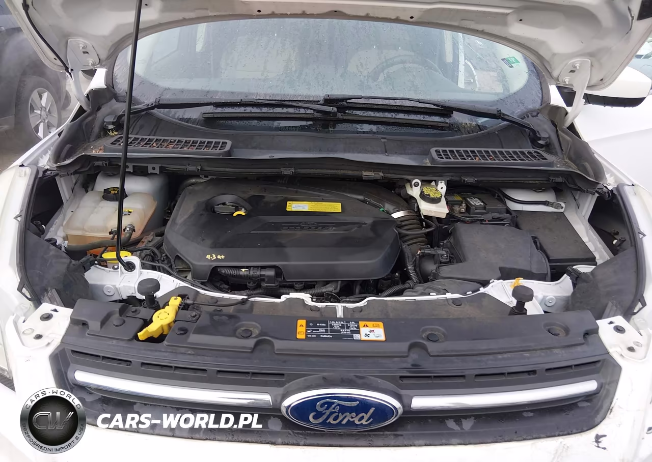2013 Ford Escape Se VIN:1FMCU9GX4DUD71925 - 10