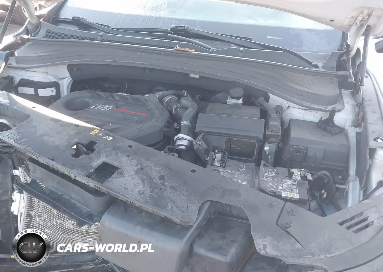 2020 Hyundai Santa Fe Limited 2.0T VIN:5NMS5CAA4LH162298 - 10