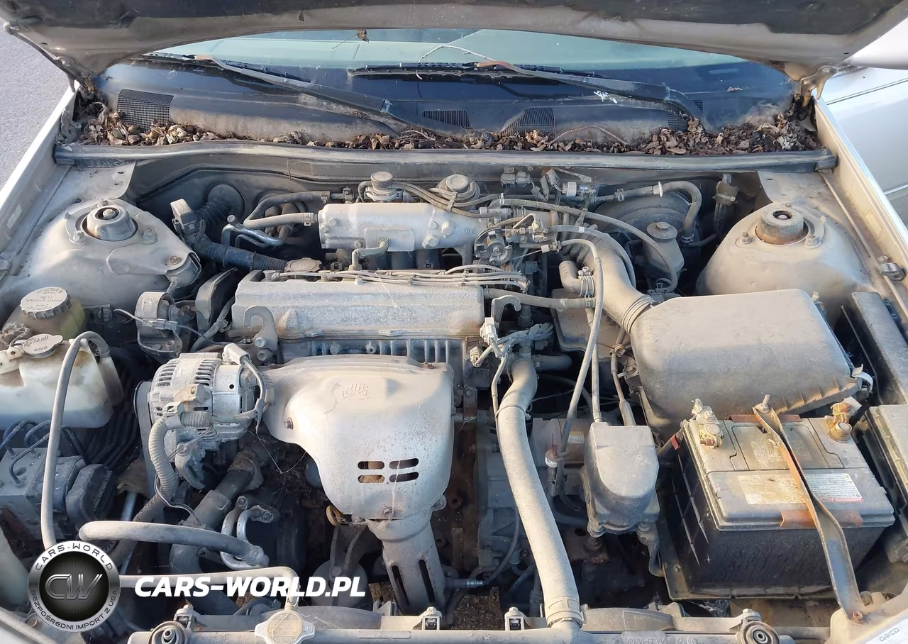 1997 Toyota Camry Le VIN:4T1BG22KXVU011680 - 10