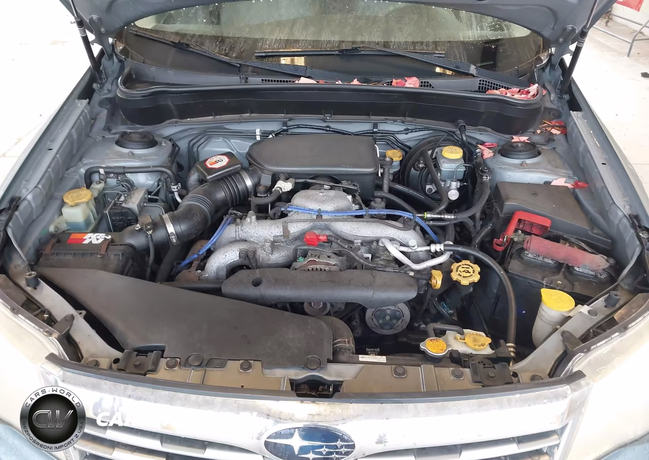 2010 Subaru Forester 2.5X Premium VIN:JF2SH6CC1AG781809 - 10