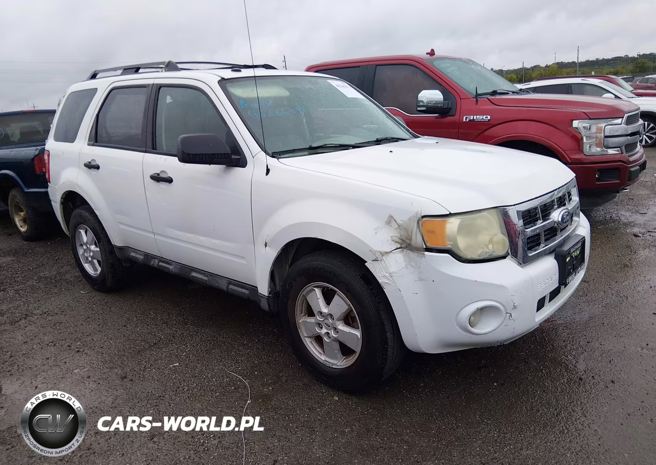 2010 Ford Escape Xlt
