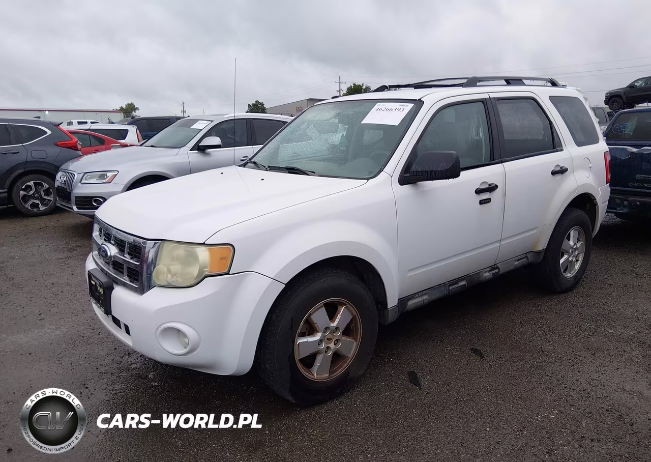 2010 Ford Escape Xlt VIN:1FMCU0D71AKB81670 - 2