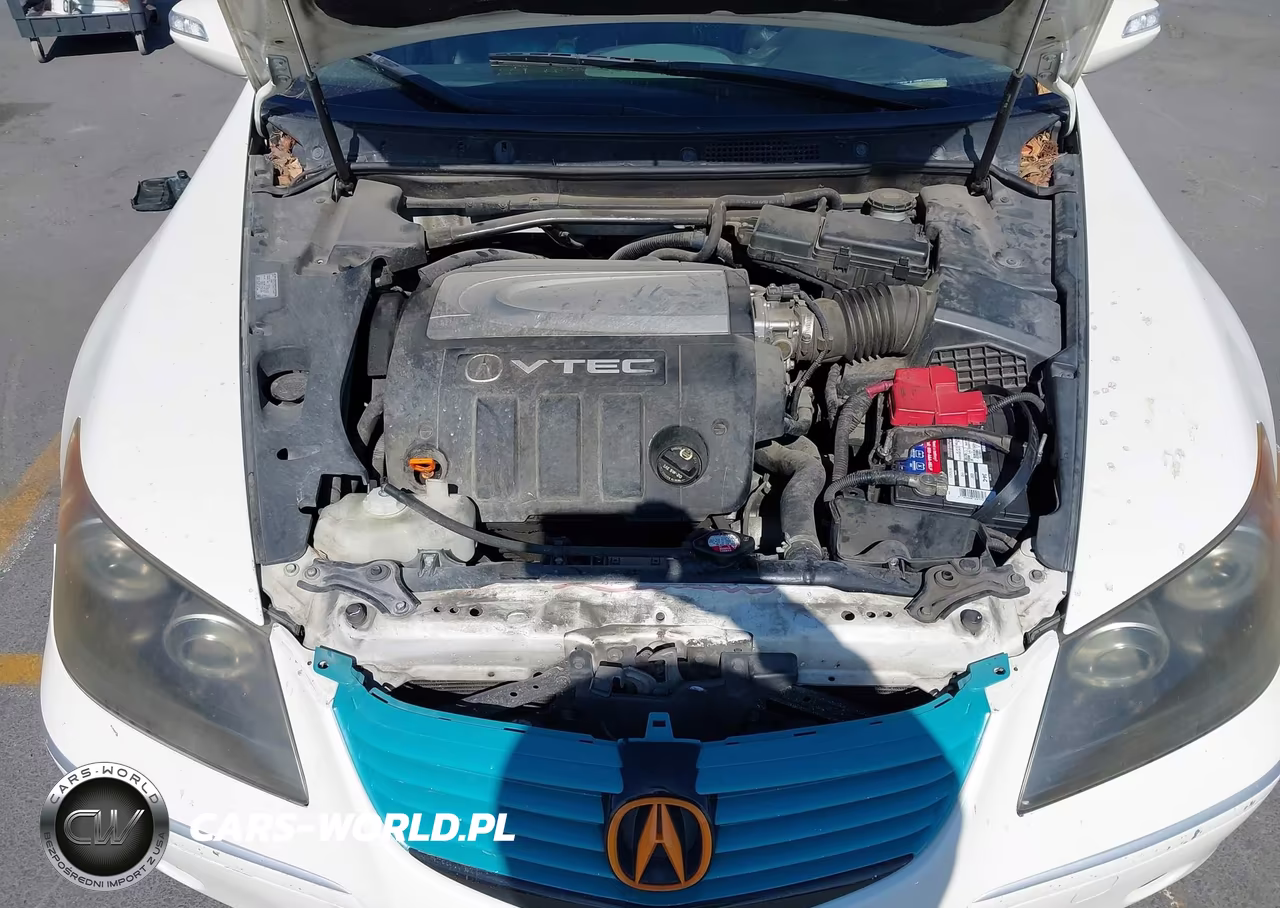 2005 Acura Rl 3.5 VIN:JH4KB16505C019082 - 10