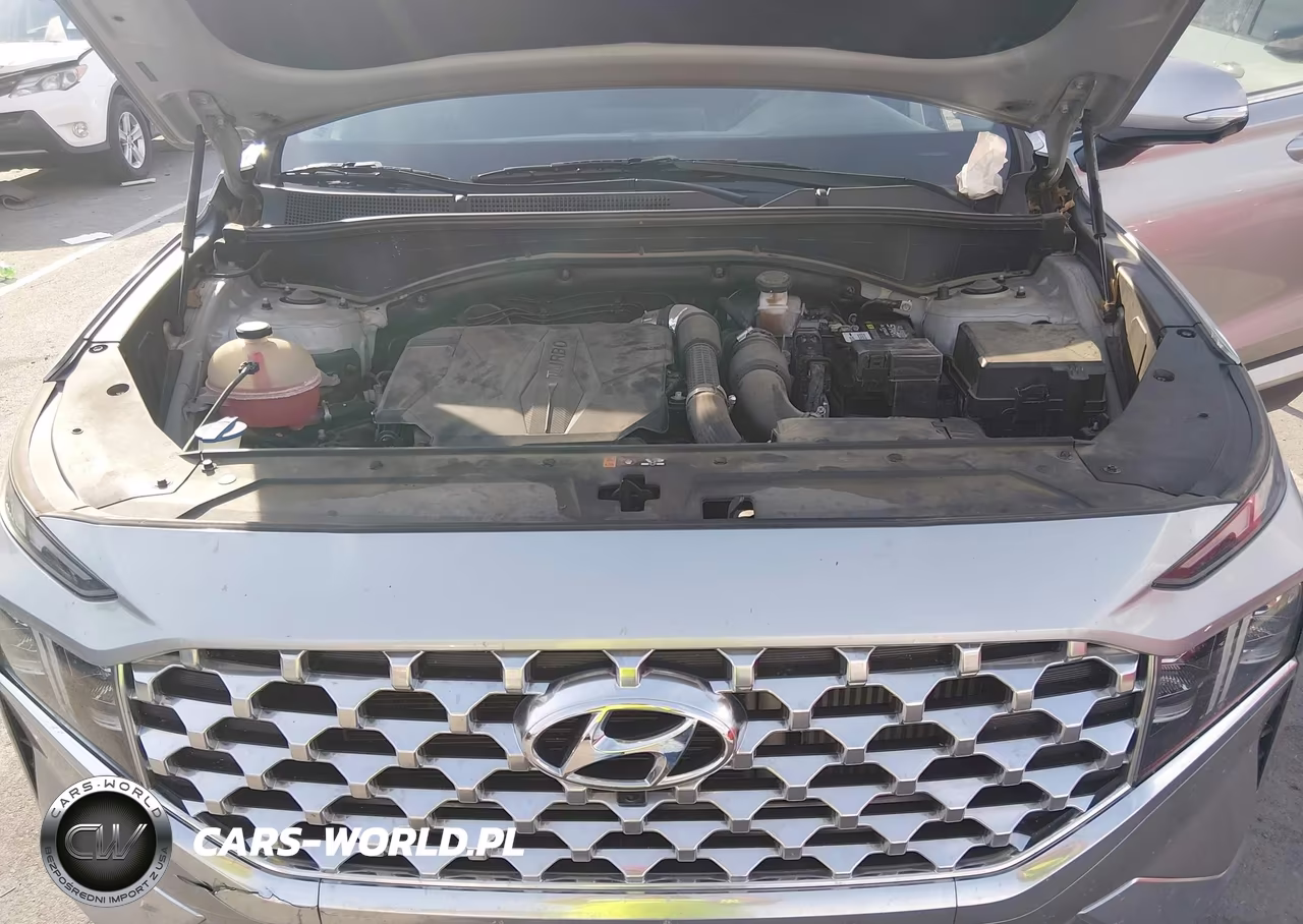 2023 Hyundai Santa Fe Limited VIN:5NMS44AL3PH489016 - 10