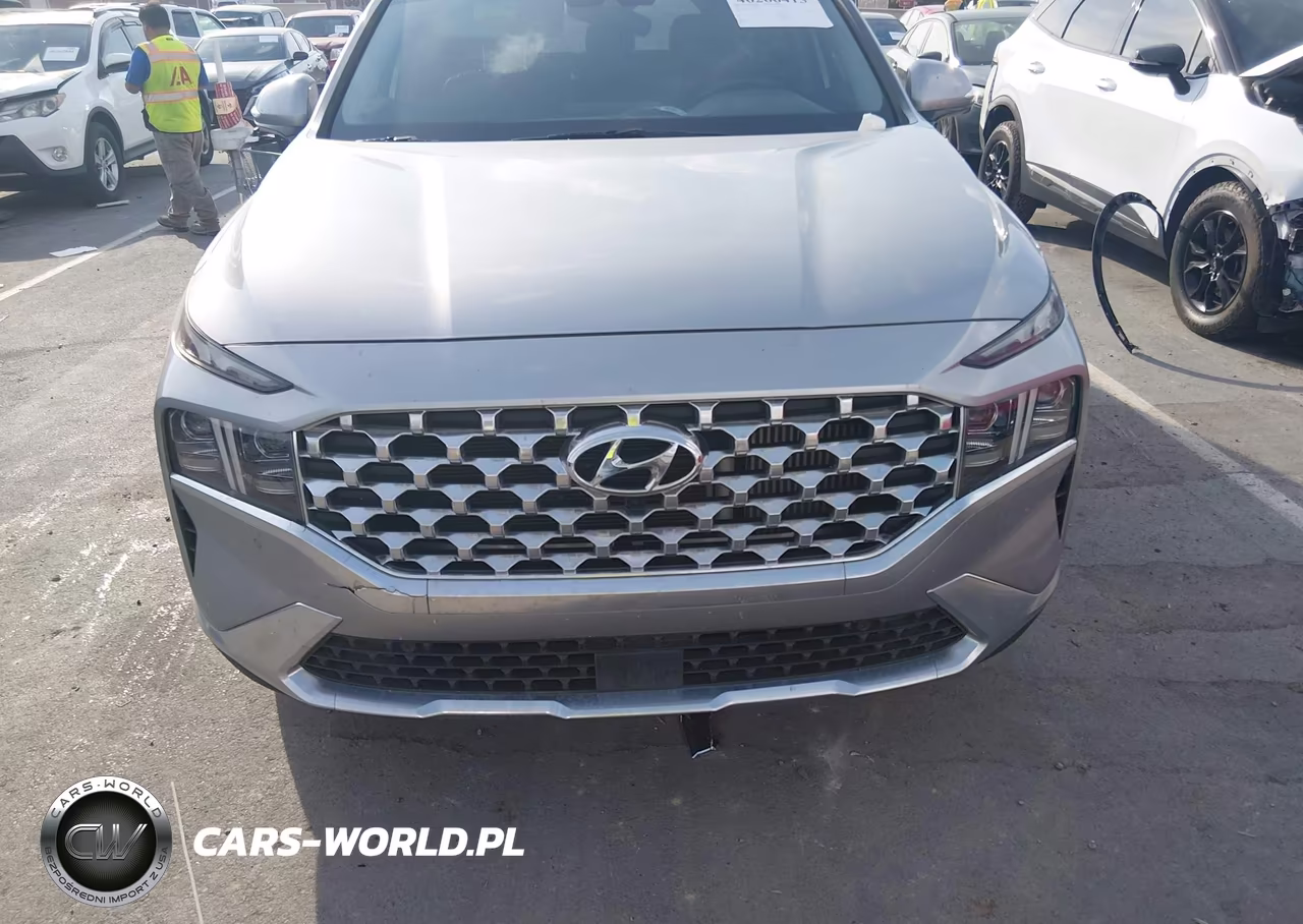 2023 Hyundai Santa Fe Limited VIN:5NMS44AL3PH489016 - 12