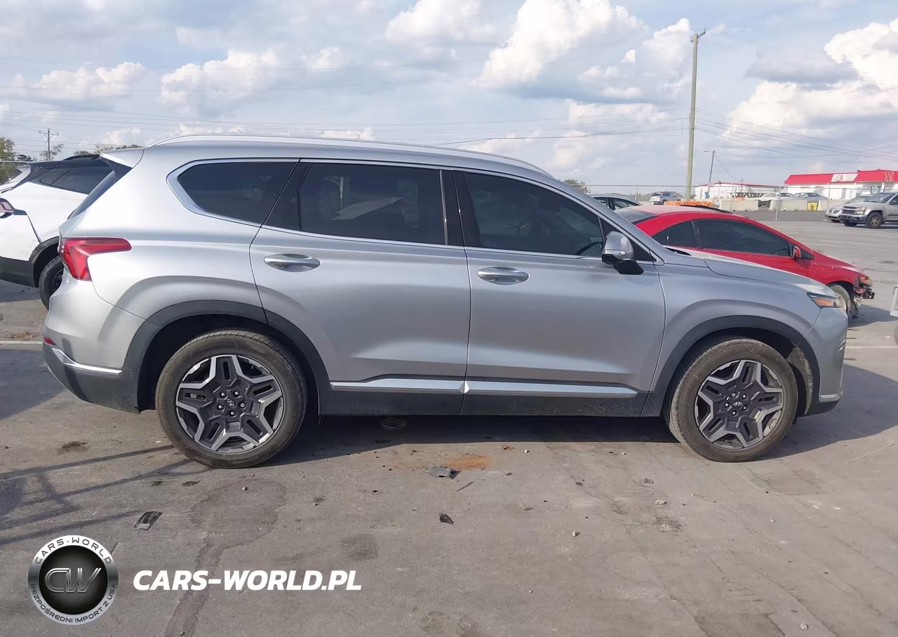 2023 Hyundai Santa Fe Limited VIN:5NMS44AL3PH489016 - 13