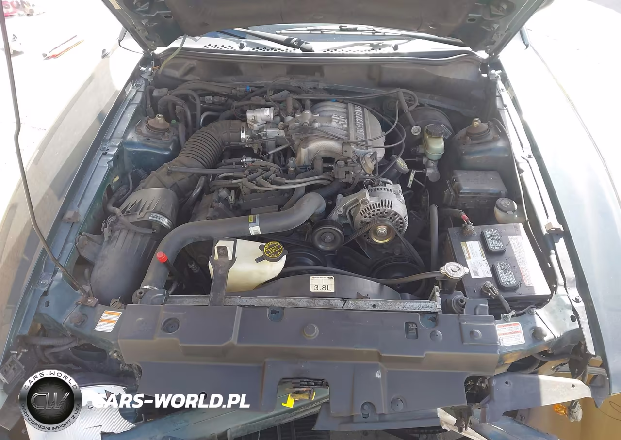 1998 Ford Mustang VIN:1FAFP4042WF170355 - 10