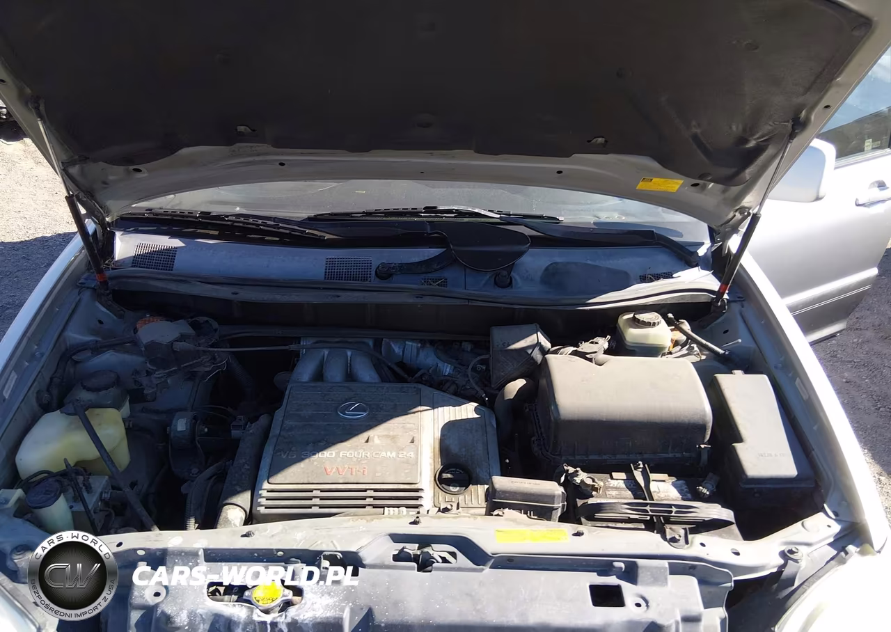 2001 Lexus Rx 300 VIN:JTJHF10U210183992 - 10