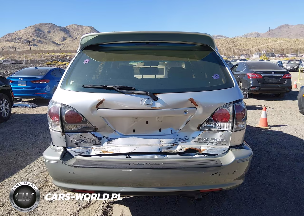 2001 Lexus Rx 300 VIN:JTJHF10U210183992 - 16
