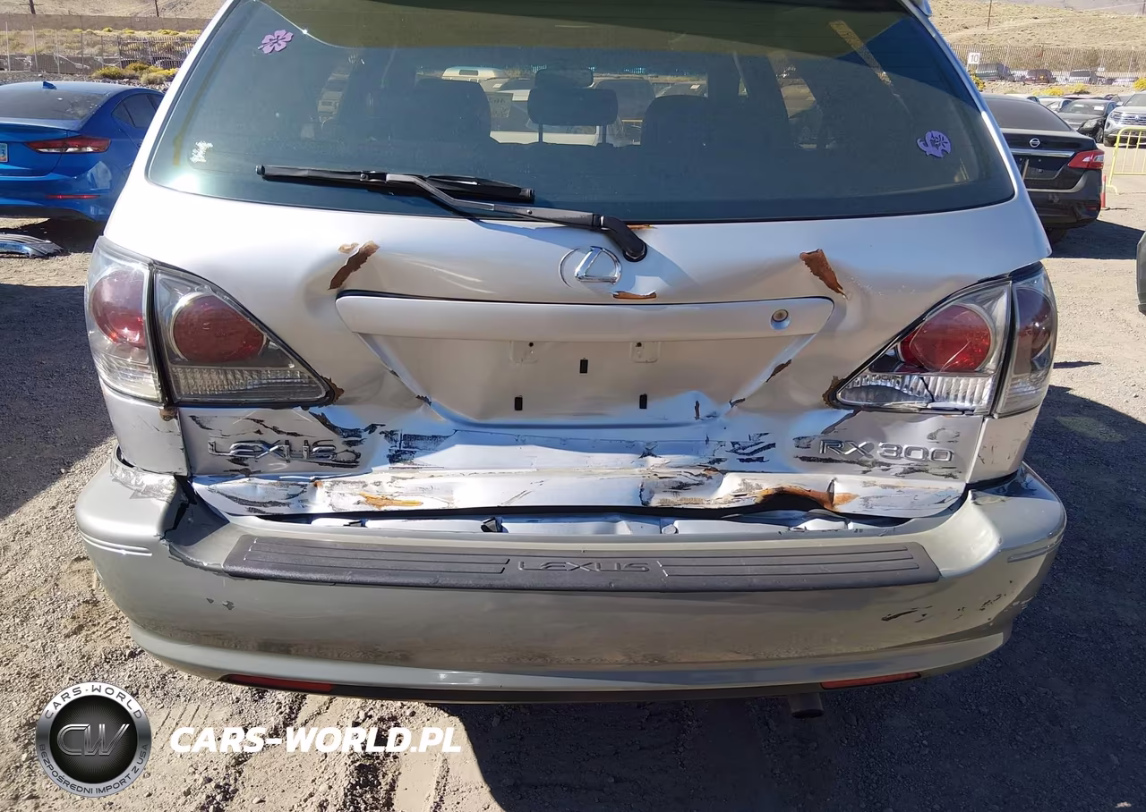 2001 Lexus Rx 300 VIN:JTJHF10U210183992 - 6