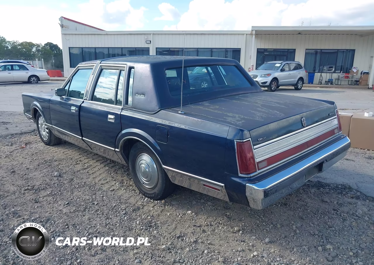 1989 Lincoln Town Car Signature VIN:1LNBM82F4KY765435 - 3
