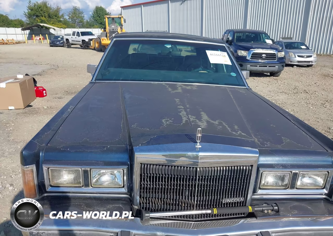 1989 Lincoln Town Car Signature VIN:1LNBM82F4KY765435 - 6