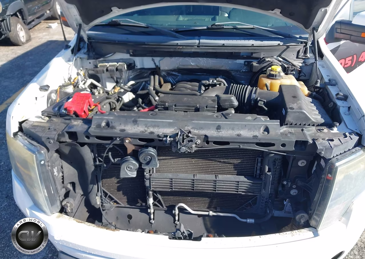 2014 Ford F-150 Fx4 VIN:1FTFX1EF9EFB81967 - 10
