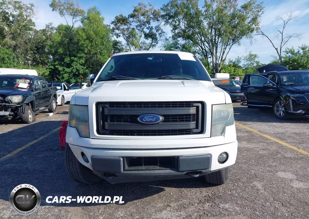 2014 Ford F-150 Fx4 VIN:1FTFX1EF9EFB81967 - 12