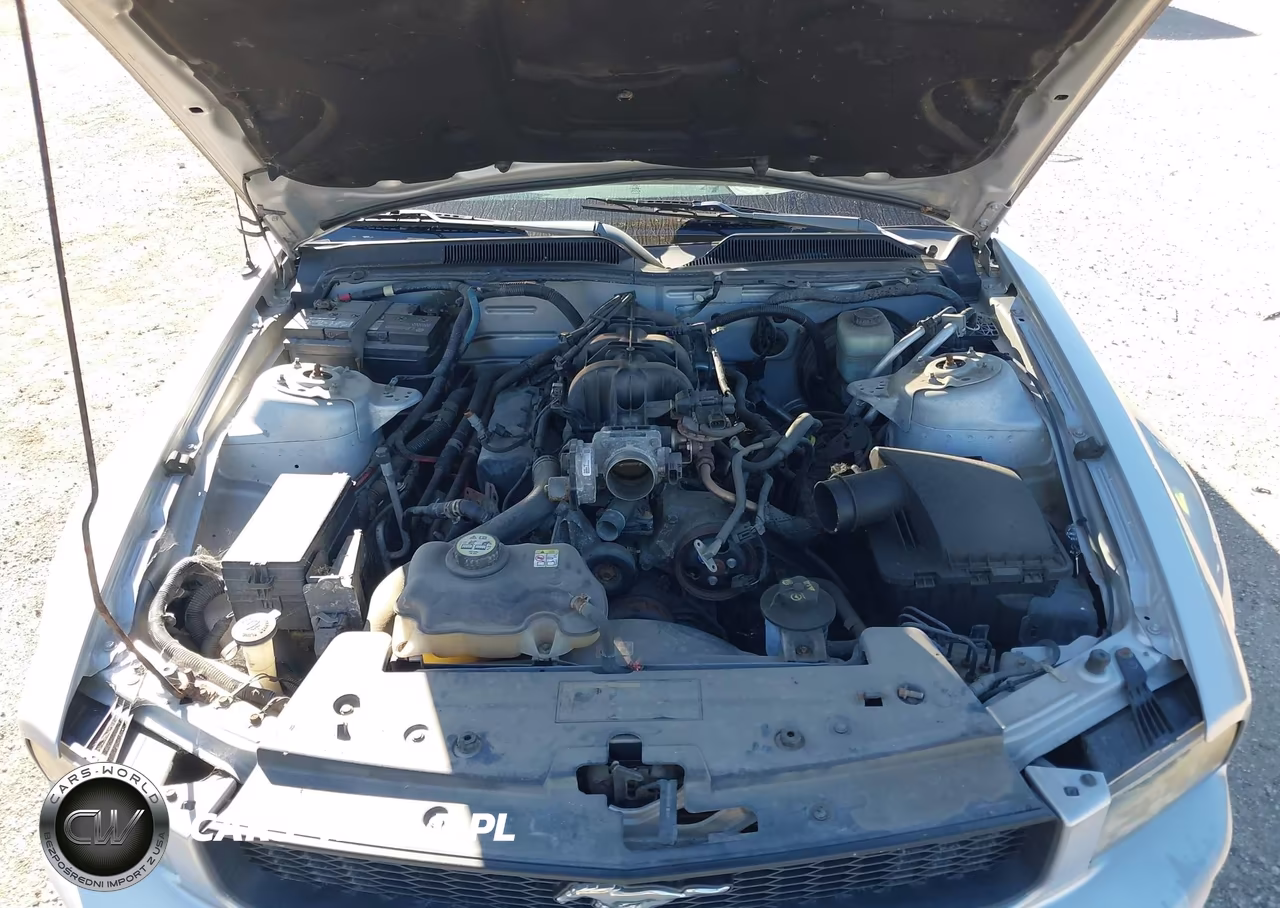 2006 Ford Mustang V6 VIN:1ZVFT80N865165928 - 10