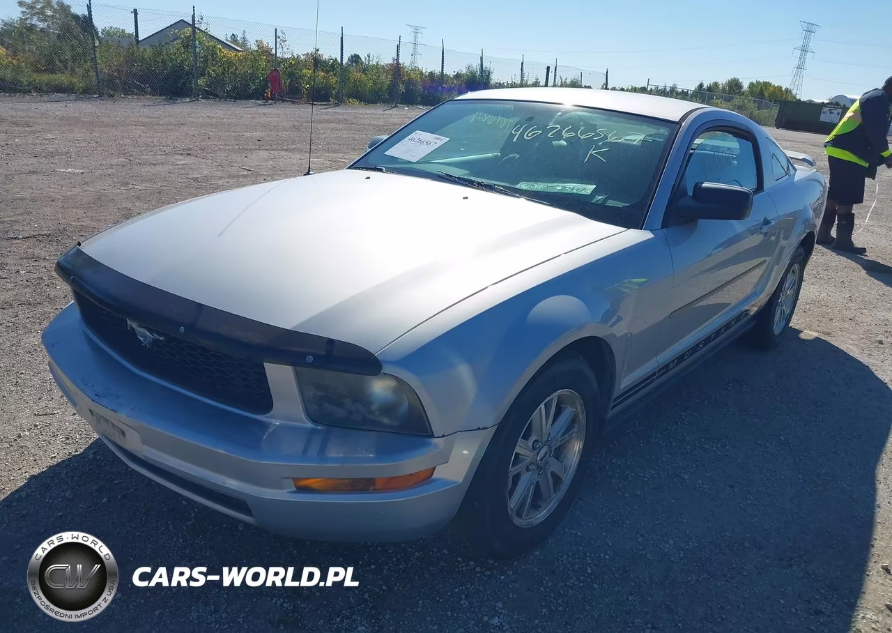 2006 Ford Mustang V6 VIN:1ZVFT80N865165928 - 2