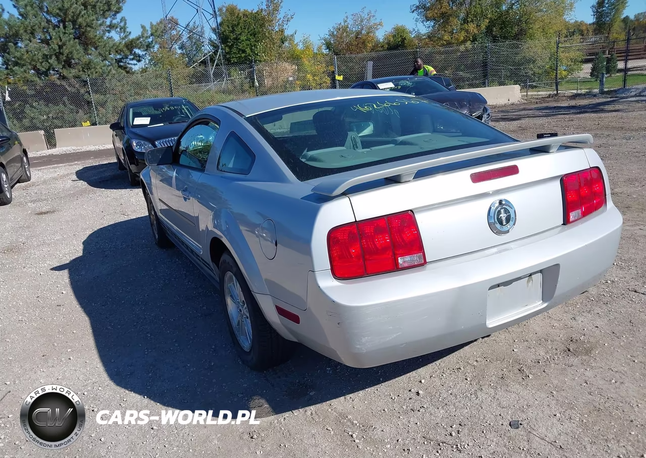 2006 Ford Mustang V6 VIN:1ZVFT80N865165928 - 3