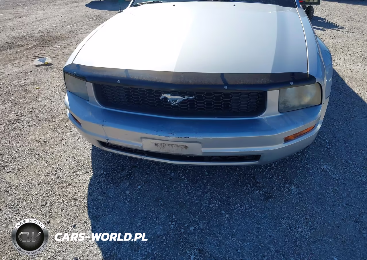 2006 Ford Mustang V6 VIN:1ZVFT80N865165928 - 6