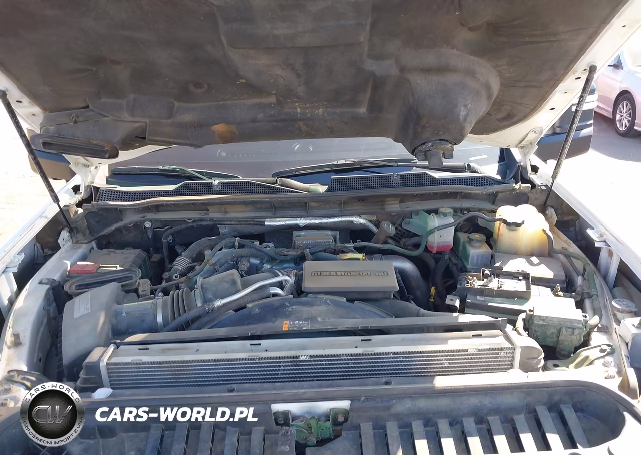 2021 Chevrolet Silverado K2500 Heavy Duty VIN:1GC4YLEY0MF197202 - 9
