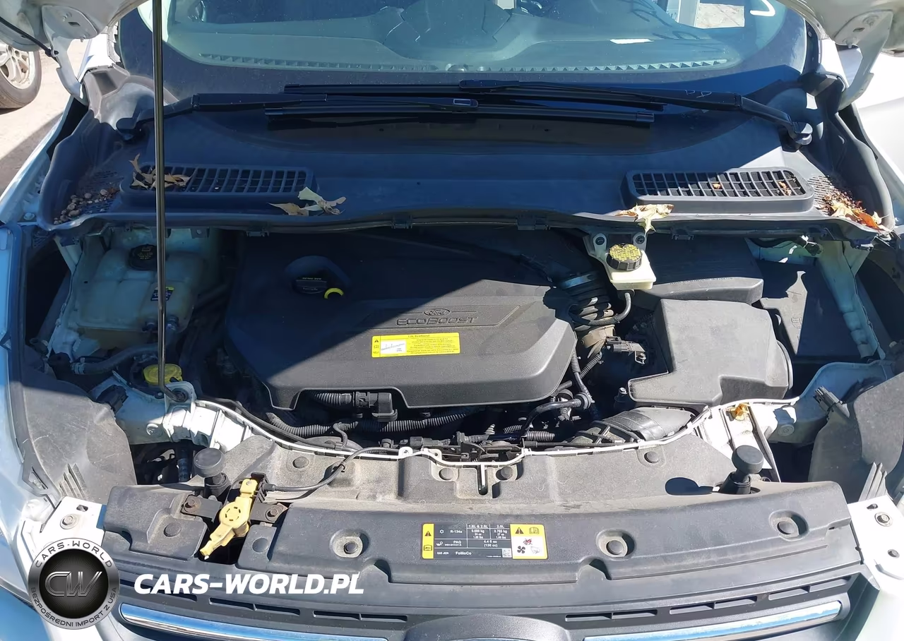 2013 Ford Escape Se VIN:1FMCU9GX2DUA46450 - 10