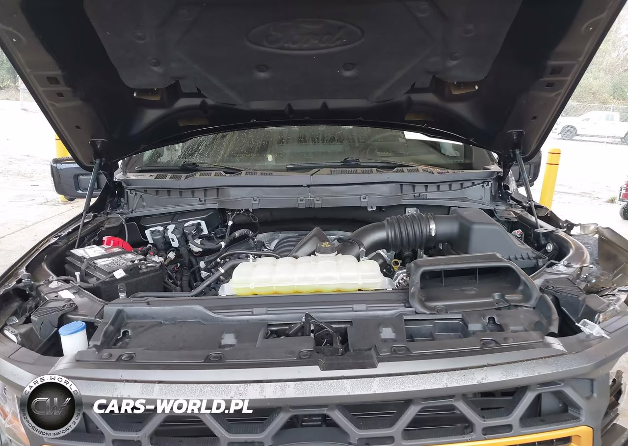 2025 Ford F-150 Tremor VIN:1FTFW4L58SFC55129 - 10