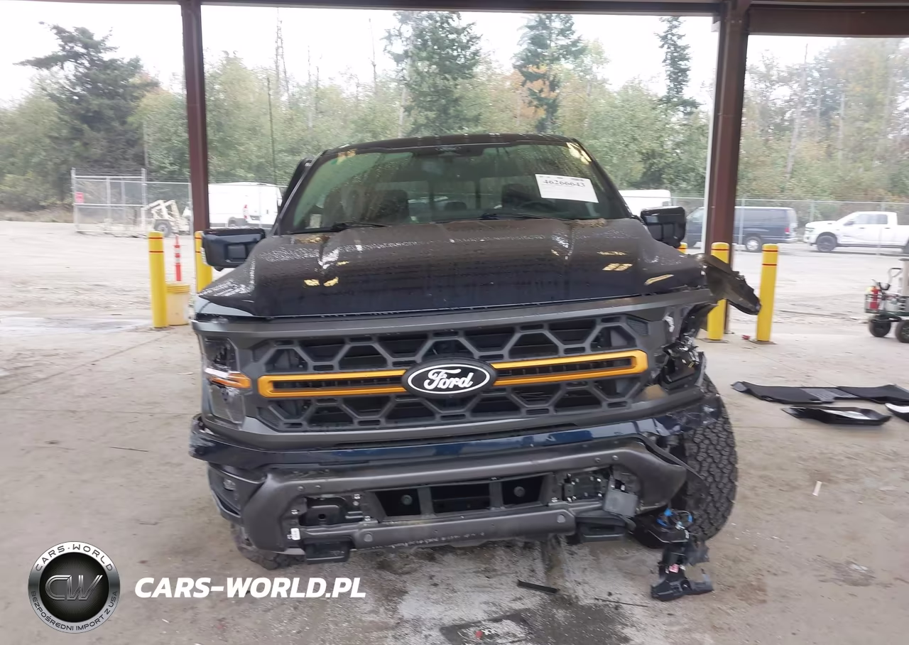 2025 Ford F-150 Tremor VIN:1FTFW4L58SFC55129 - 12
