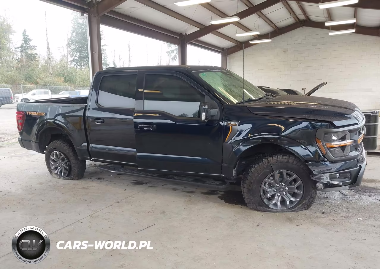 2025 Ford F-150 Tremor VIN:1FTFW4L58SFC55129 - 13
