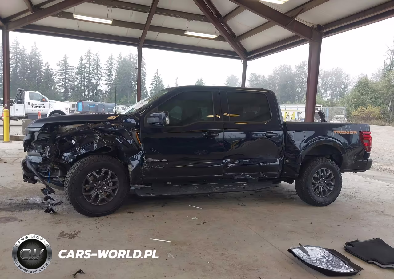 2025 Ford F-150 Tremor VIN:1FTFW4L58SFC55129 - 14