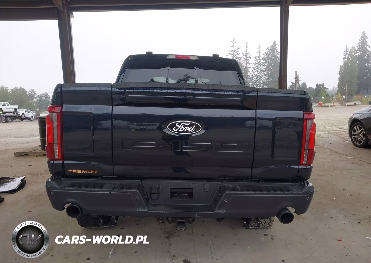 2025 Ford F-150 Tremor VIN:1FTFW4L58SFC55129 - 16