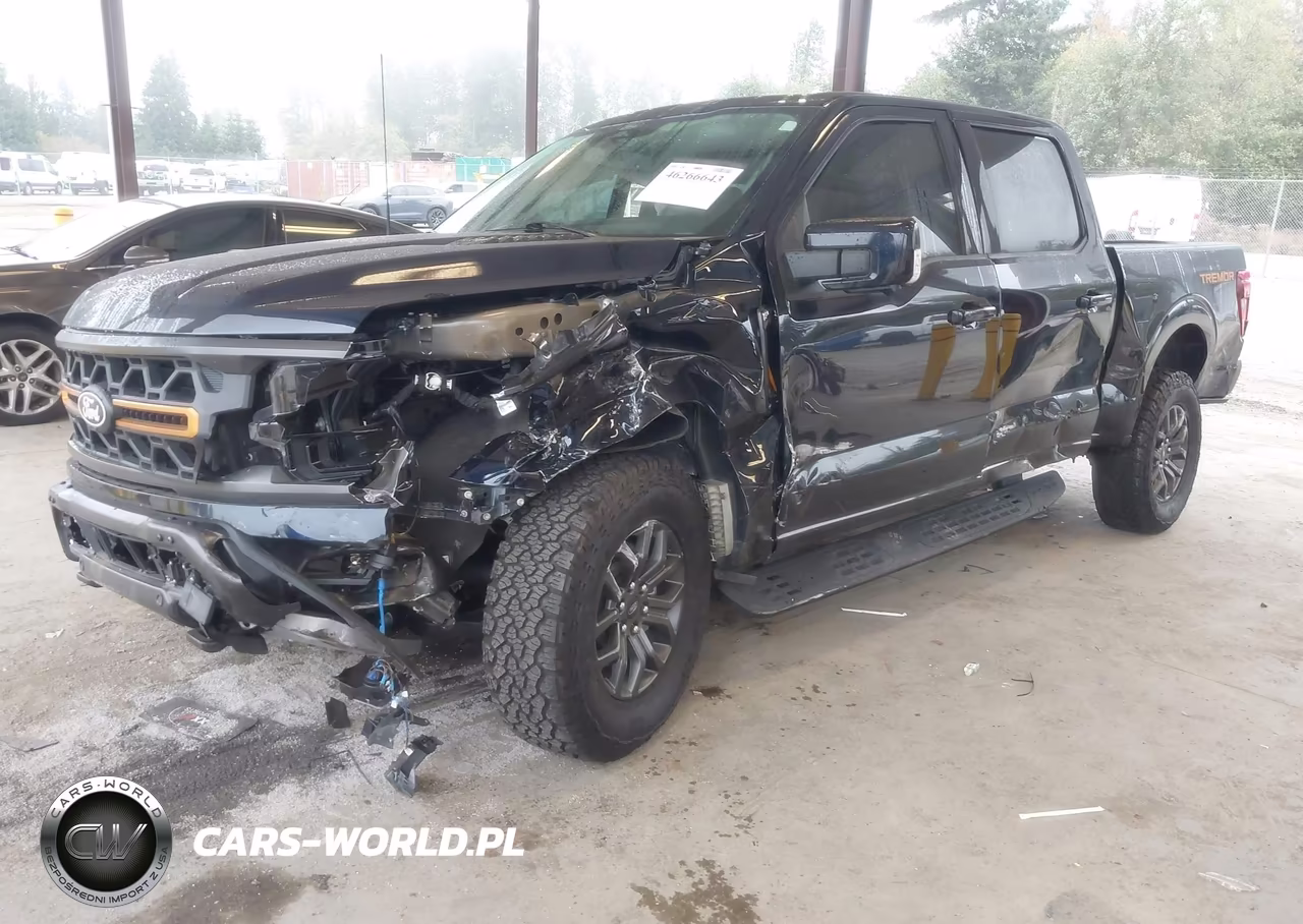 2025 Ford F-150 Tremor VIN:1FTFW4L58SFC55129 - 2