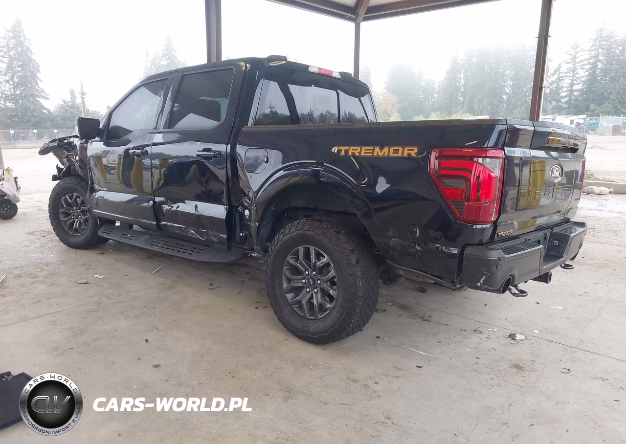 2025 Ford F-150 Tremor VIN:1FTFW4L58SFC55129 - 3
