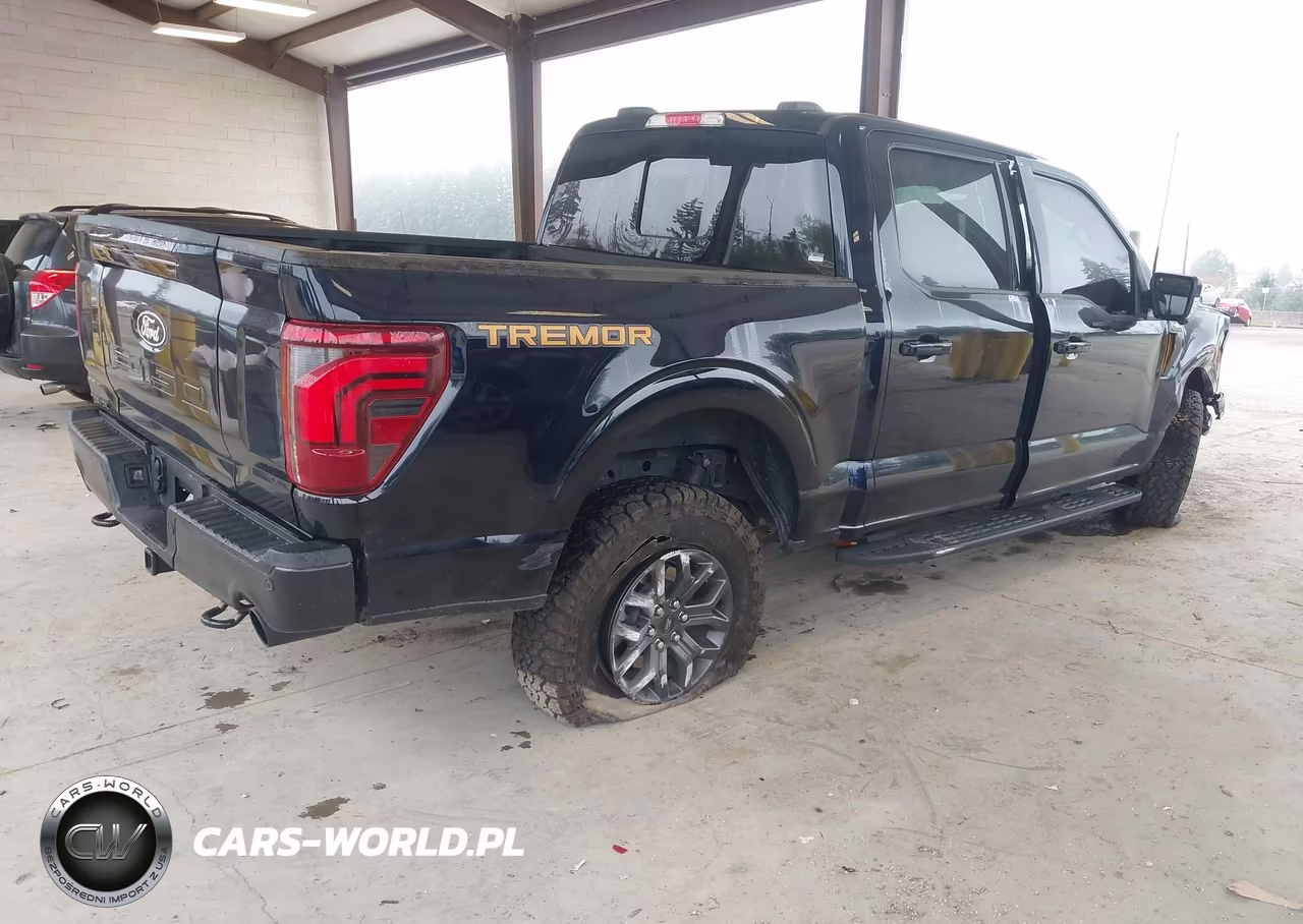 2025 Ford F-150 Tremor VIN:1FTFW4L58SFC55129 - 4