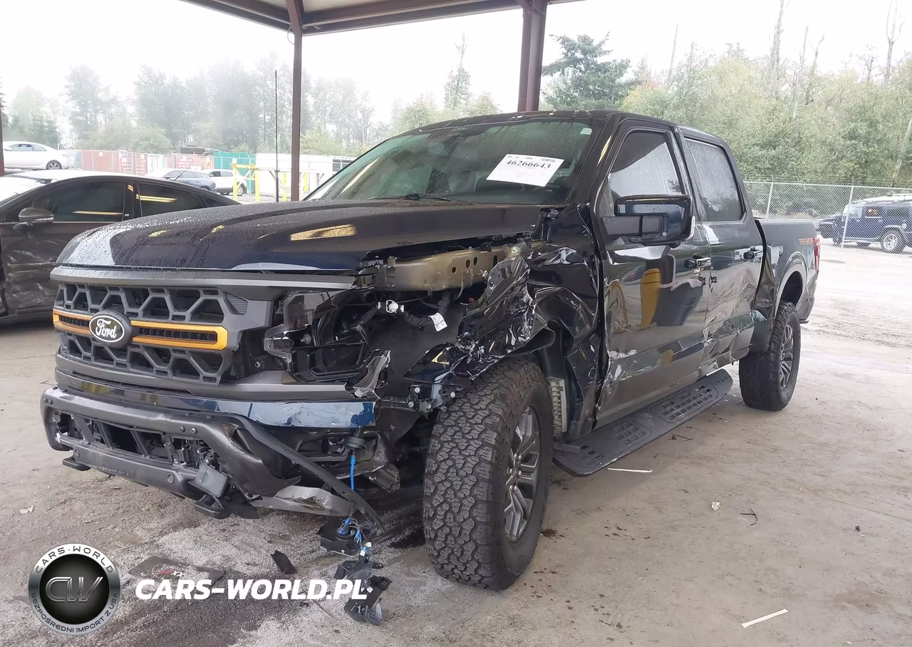 2025 Ford F-150 Tremor VIN:1FTFW4L58SFC55129 - 6