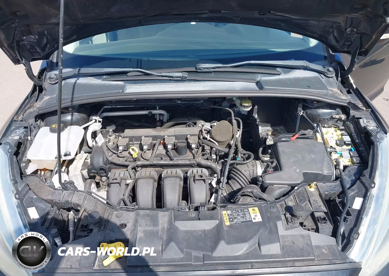 2015 Ford Focus Se VIN:1FADP3K23FL253162 - 10