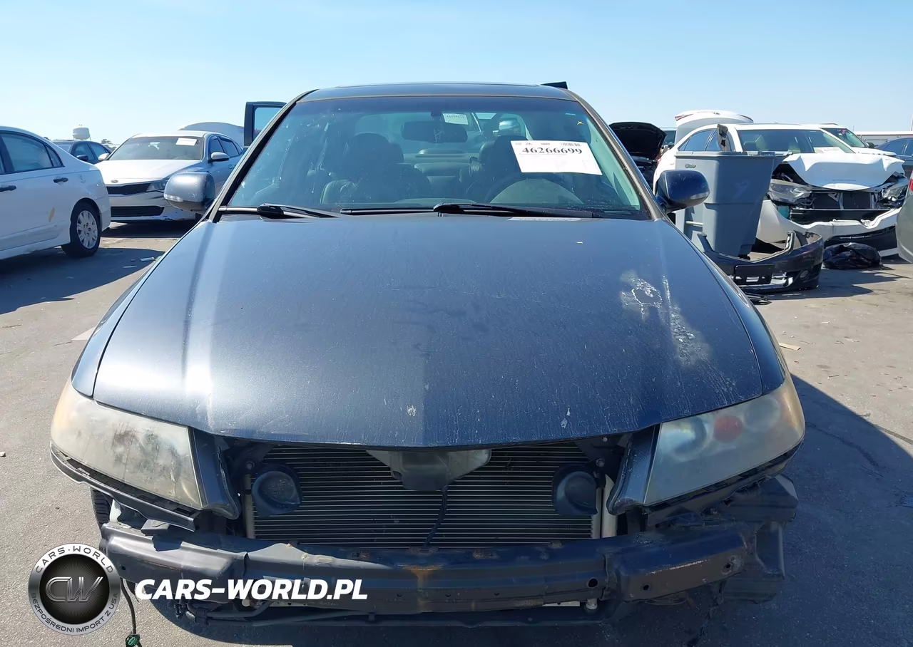 2007 Acura Tsx VIN:JH4CL96837C016416 - 13