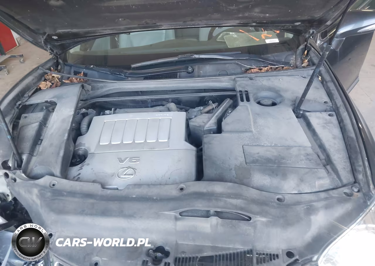 2011 Lexus Es 350 VIN:JTHBK1EG0B2432625 - 10
