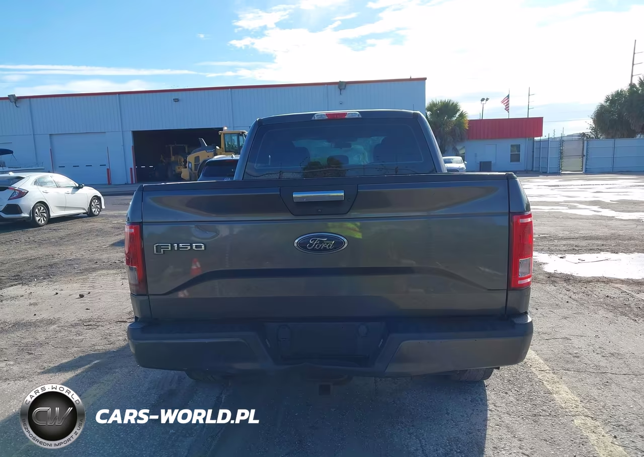 2016 Ford F-150 Xl VIN:1FTEX1CP3GKF41493 - 16