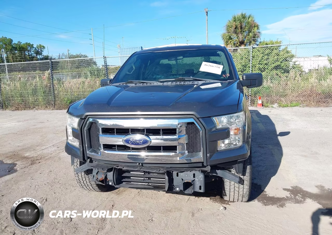 2016 Ford F-150 Xl VIN:1FTEX1CP3GKF41493 - 6