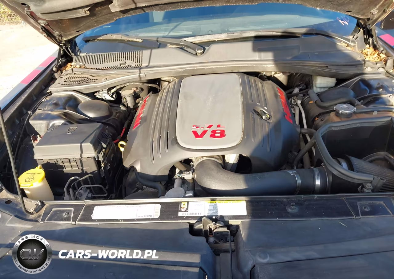 2010 Dodge Challenger R-T VIN:2B3CJ5DT3AH261908 - 10