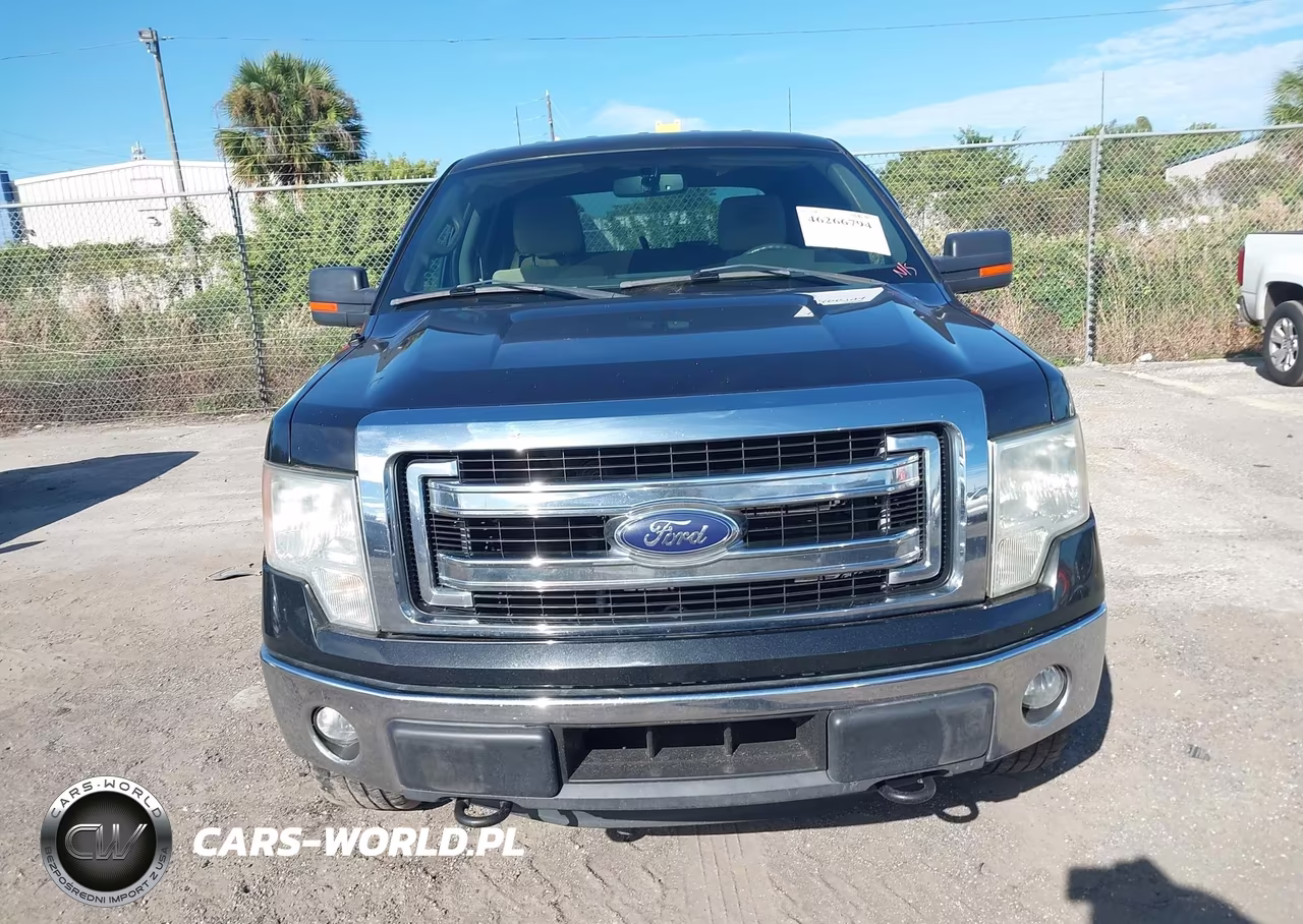 2014 Ford F-150 Xlt VIN:1FTFW1EF0EKD93599 - 12